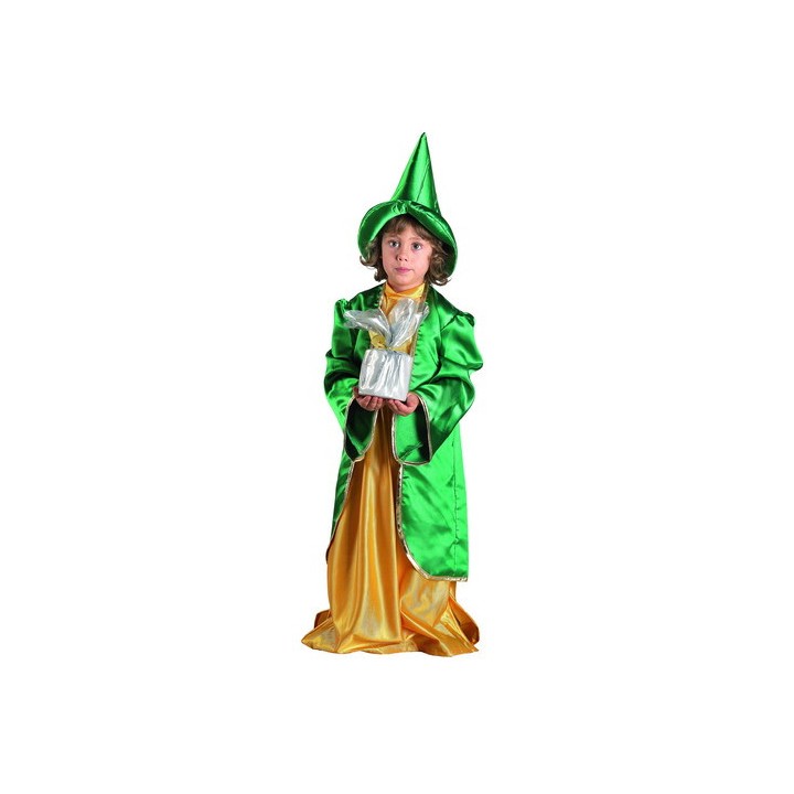 Children's Christmas Wizard Costume